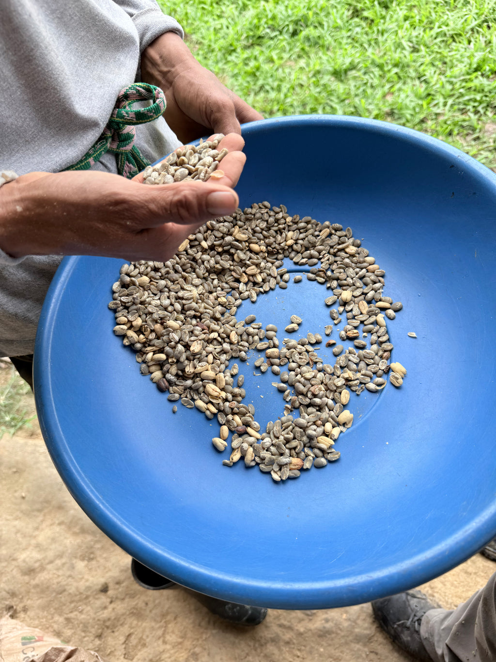 Single Origin - Lamas Province, Peru