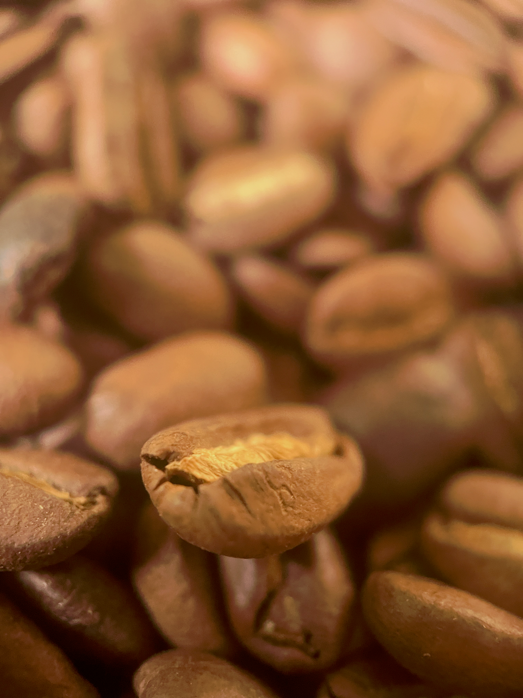 Single Origin - Lamas Province, Peru